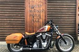 <span>Harley-Davidson</span> FXDL Dyna Low Rider